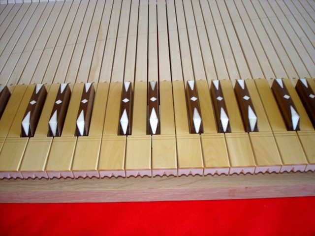 Órgano de la Iglesia de San Martín, Cevico de la Torre, detalle 2